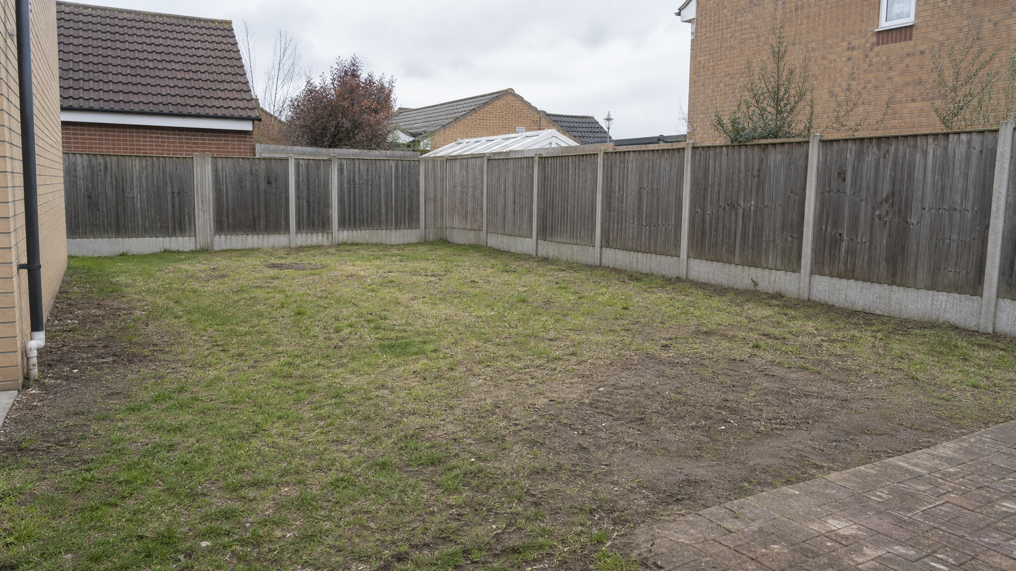 A tired suburban back garden with patchy lawn before redesign